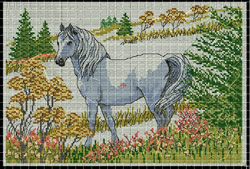 Embroidery Digitizing Sample