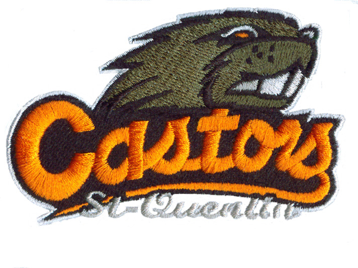Embroidery Digitizing Sample